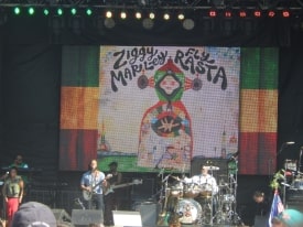 Ziggy marley